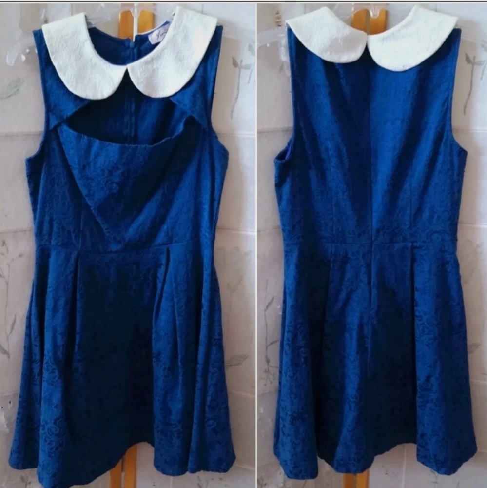 Freeway vintage inspired dress with Peter Pan colar size Medium